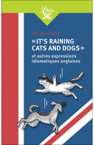 "it's raining cats and dogs" et autres expressions idiomatiques anglaises