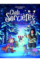 Chats & sorcieres - le blizzard des tupilaks, tome 4