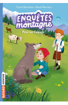 Enquêtes à la montagne, tome 06