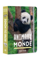 Agenda scolaire animaux du monde 2024 - 2025