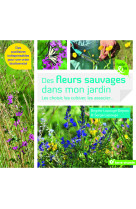 Des fleurs sauvages dans mon jardin