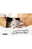 Calendrier tu peux pas comprendre t'es pas un chat