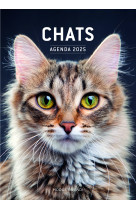 Chats - agenda 2025