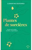 Plantes de sorcières