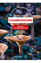 A la découverte des champignons