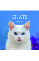 Calendrier chats 2025