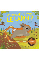 Pourras tu suivre le lapin ?