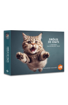 Agenda - calendrier drôles de chats 2025