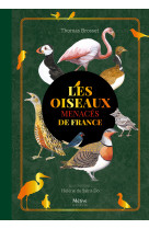 Les oiseaux menacés de france