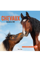 Calendrier mural chevaux 2025