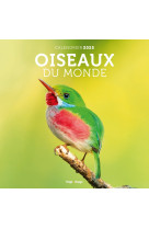 Calendrier mural oiseaux du monde 2025