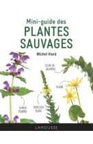 Mini-guide des plantes sauvages