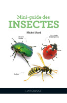 Mini-guide des insectes