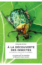 A la decouverte des insectes