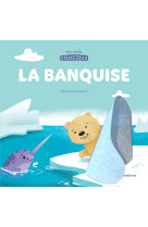 La banquise - mes petits coucous