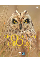 Chouettes et hiboux