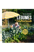 Légumes et canicule 