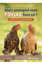 Mais pourquoi mes poules font ça ?