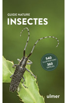 Insectes