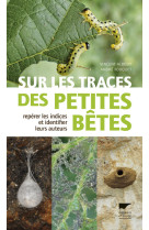 Sur les traces des petites bêtes