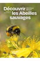 Découvrir les abeilles sauvages