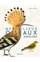 Merveilleux oiseaux grandeur nature