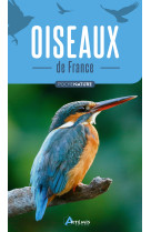 Oiseaux de france