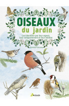 Oiseaux du jardin