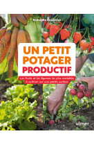 Un petit potager productif