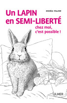 Un lapin en semi-liberté chez moi, c'est possible !