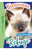 Bienvenue au refuge 09 - le plus beau des chats !