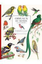 Oiseaux du monde à colorier