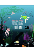 Voyage dans l'océan