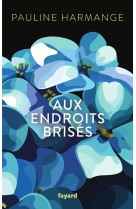 Aux endroits brisés