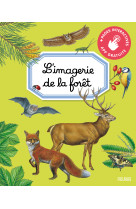 L'imagerie de la forêt (interactive)