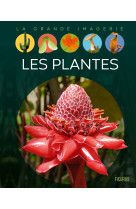 Les plantes