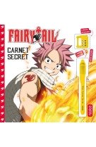 Carnet secret - fairy tail