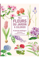 Mes fleurs du jardin à colorier