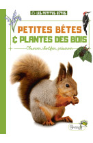 Petites bêtes et plantes des bois