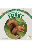 Les animaux de la forêt