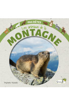 Les animaux de la montagne