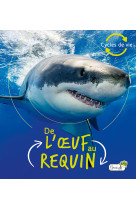 De l'oeuf au requin