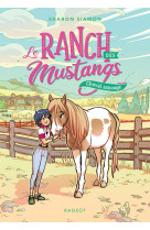 Le ranch des mustangs - cheval sauvage