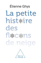 La petite histoire des flocons de neige