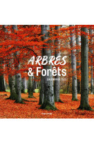 Calendrier mural arbres et forêts 2022