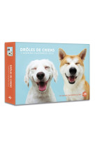 L'agenda - calendrier drôles de chiens 2022