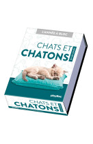 Calendrier chats et chatons en 365 jours - l'année à bloc