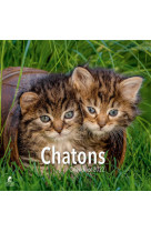 Chatons - calendrier 2022