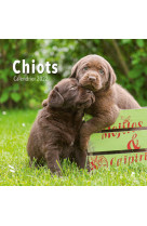 Chiots - calendrier 2022