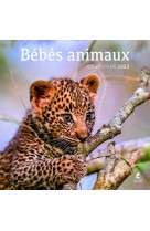 Bébés animaux - calendrier 2023